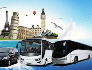 TUR VE GEZİ ORGANİZASYONLARI